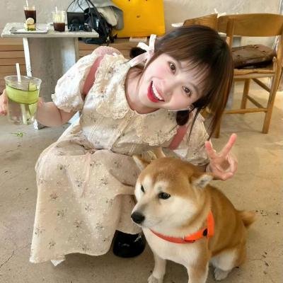 海关战线